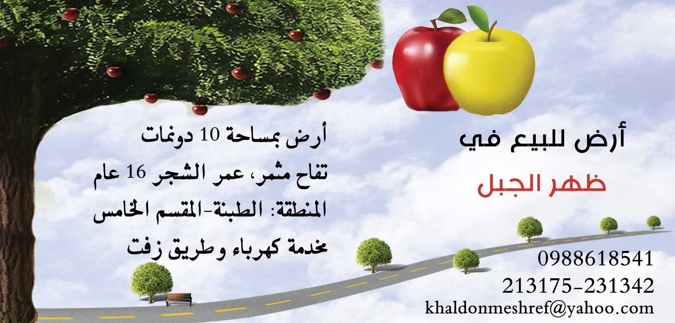 أرض للبيع في ظهر الجبل -  - جريدة هدهد الإعلانية